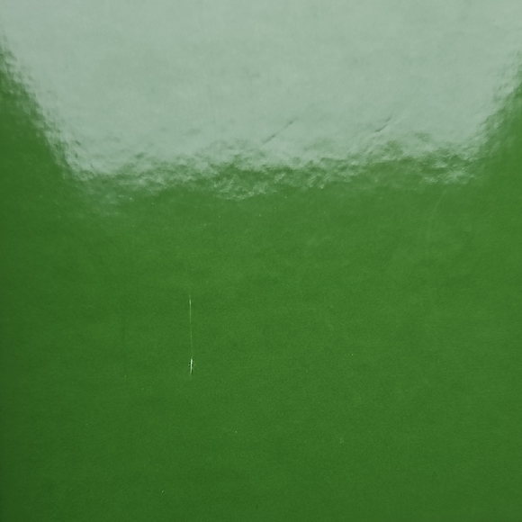 Kate Spade Green Pantone Journal - Picture 8 of 16